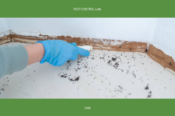 PEST CONTROL Latta